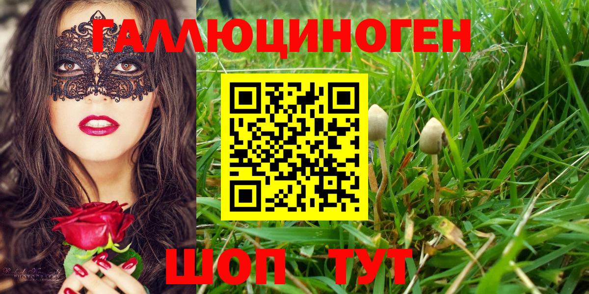Галлюциногенные грибы Psilocybe  где купить   Тольятти  Вход с VPN 